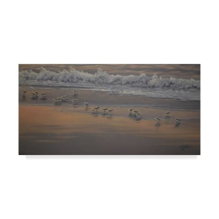 Wilhelm Goebel 'Morning Surf And Sanderlings' Canvas Art,24x47